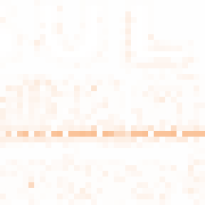 NLTrans